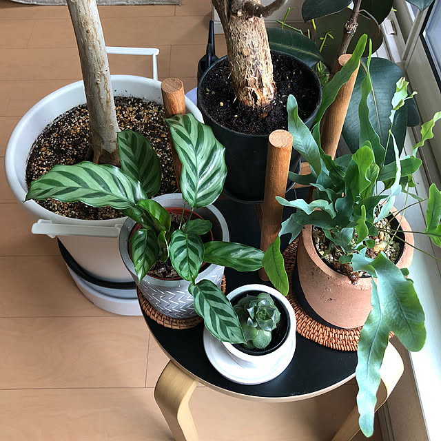 eriさんの部屋
