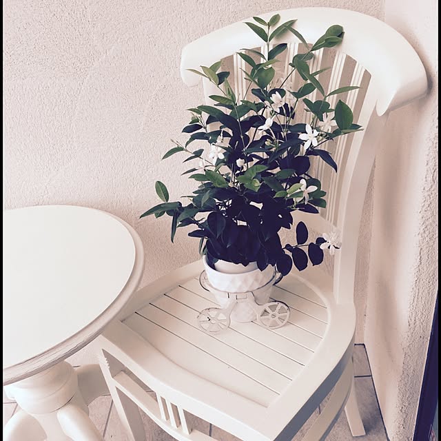 玄関/入り口/観葉植物/雑貨のインテリア実例 - 2015-08-29 13:06:19