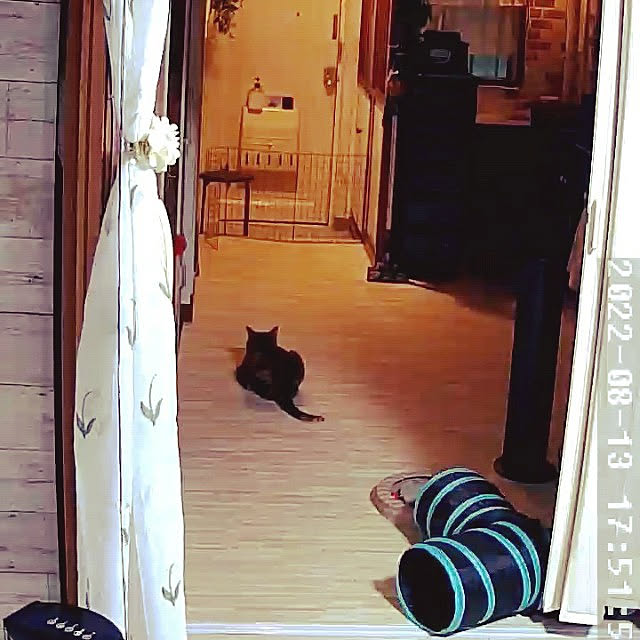 runaさんの実例写真