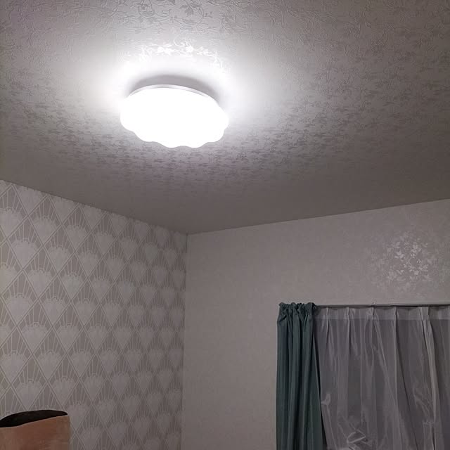 Alegriaさんの実例写真