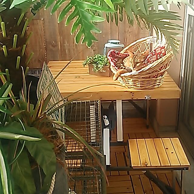 Rabbitさんの実例写真