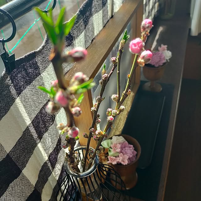 michiさんの部屋
