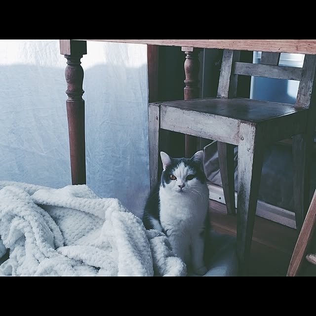 yunさんの実例写真