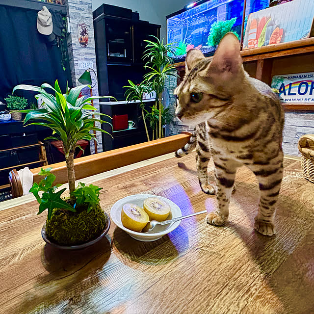 tututu0204さんの部屋
