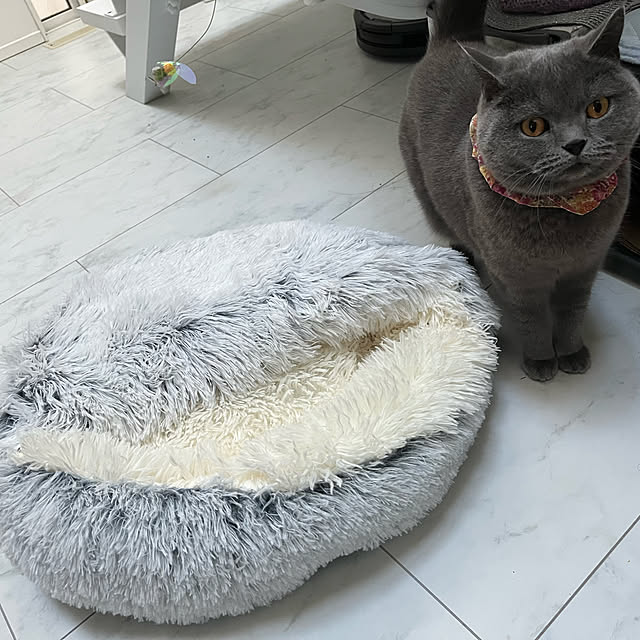 manascasaさんの実例写真