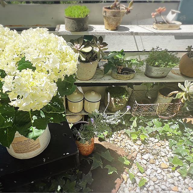 rookuさんの部屋