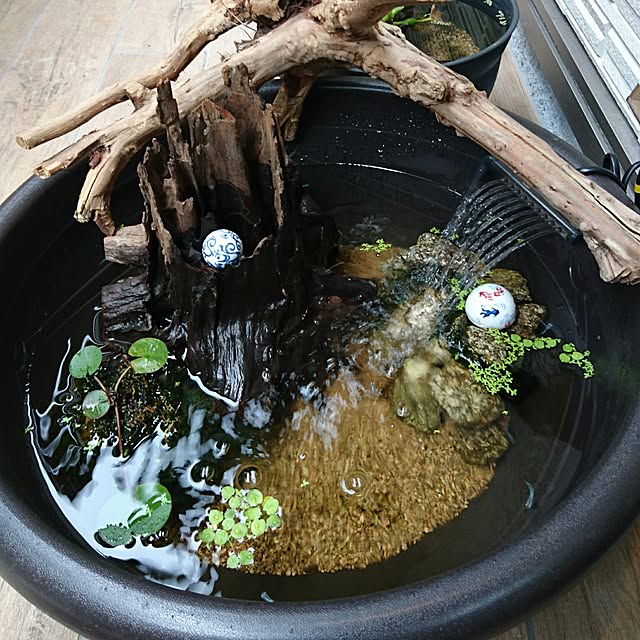 Kazutakaさんの実例写真