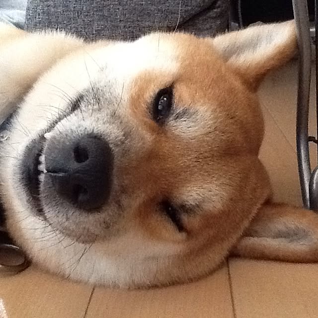 kotaさんの実例写真