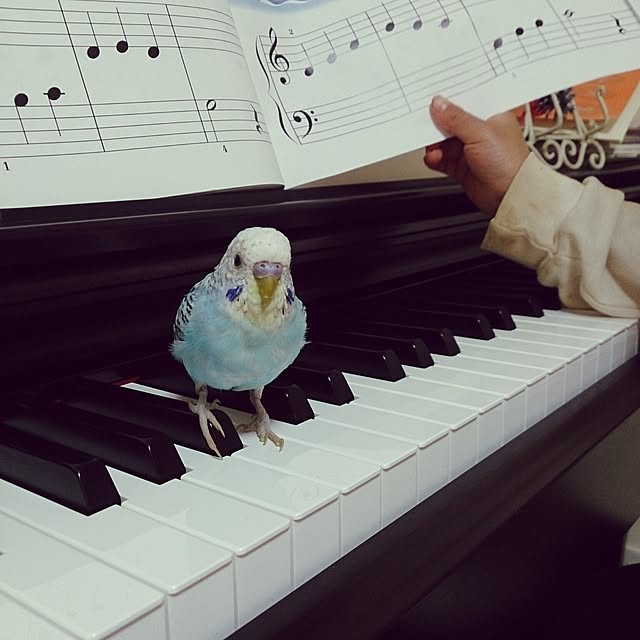 kenshuさんの実例写真