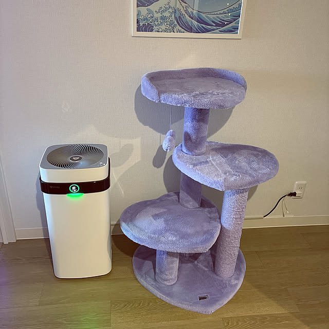 kanaさんの実例写真