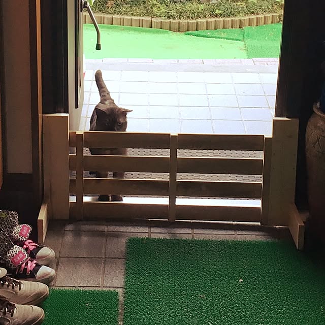 Toruさんの実例写真