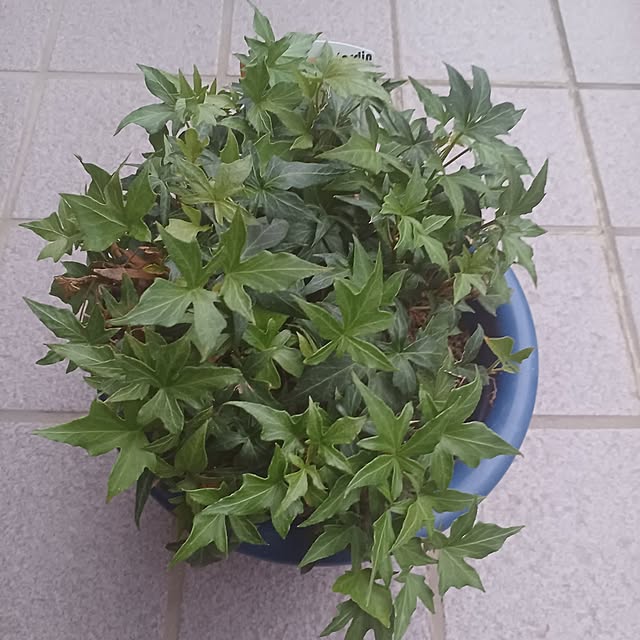 tuushiさんの実例写真