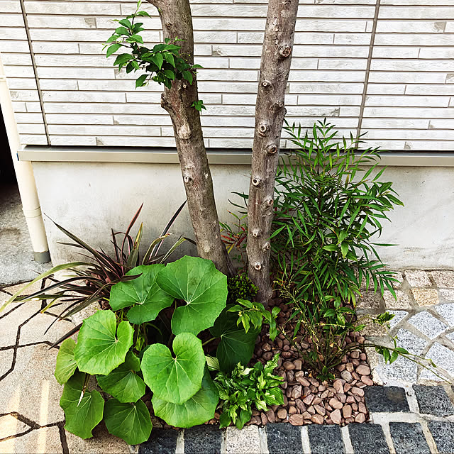 Kanaさんの実例写真