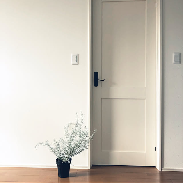 mint_homeさんの実例写真