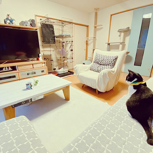 moolさんの部屋