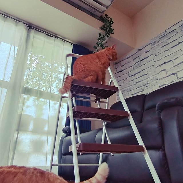 NOAHさんの部屋