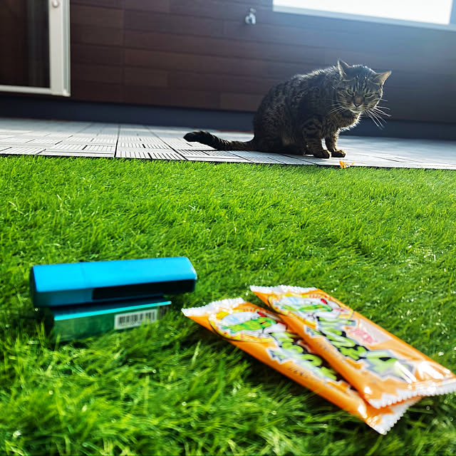 Azさんの実例写真
