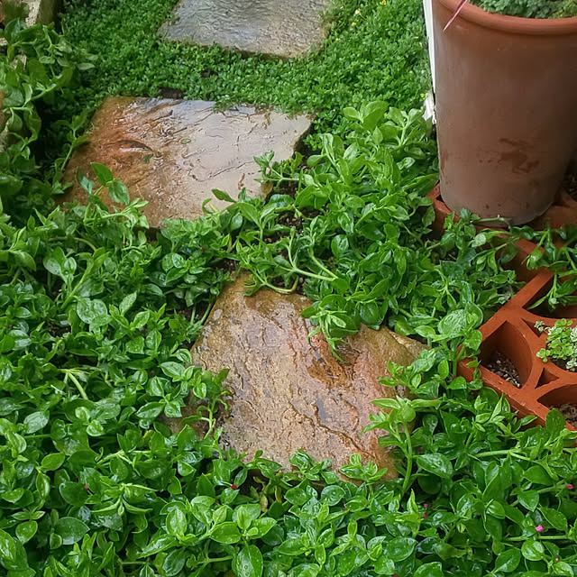 mmpoohさんの実例写真