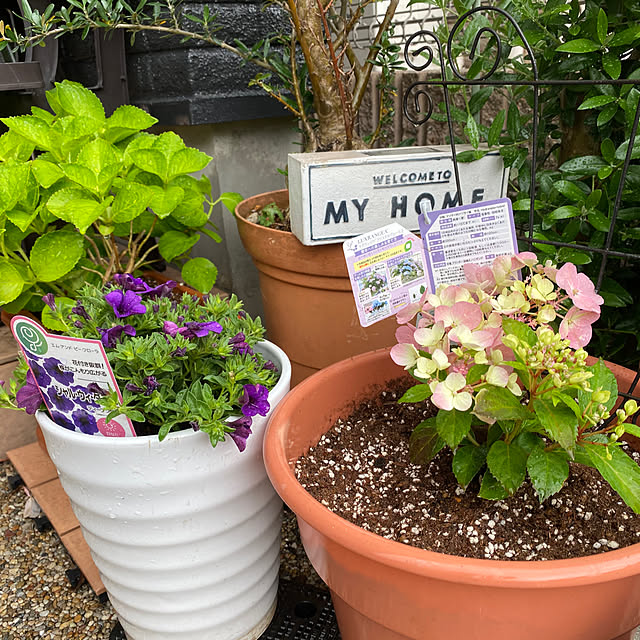 alchoさんの実例写真