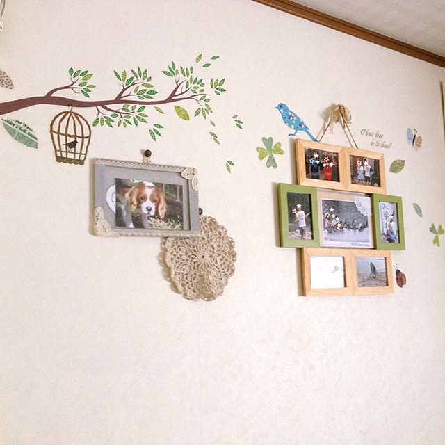 megさんの実例写真