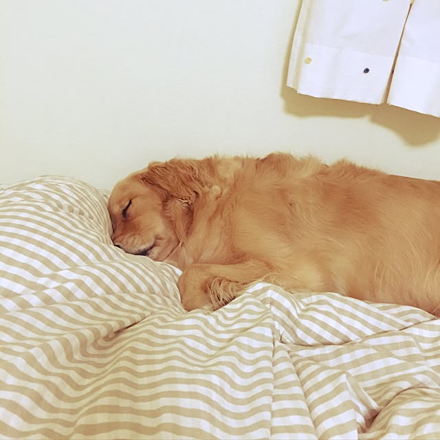bigsunny0103さんの実例写真