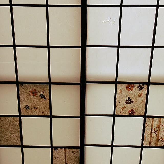 kikuさんの実例写真