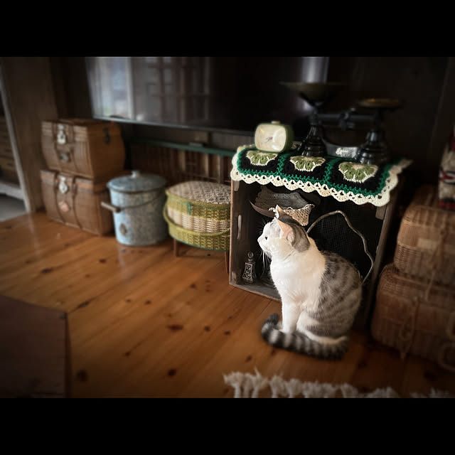 marusanさんの実例写真