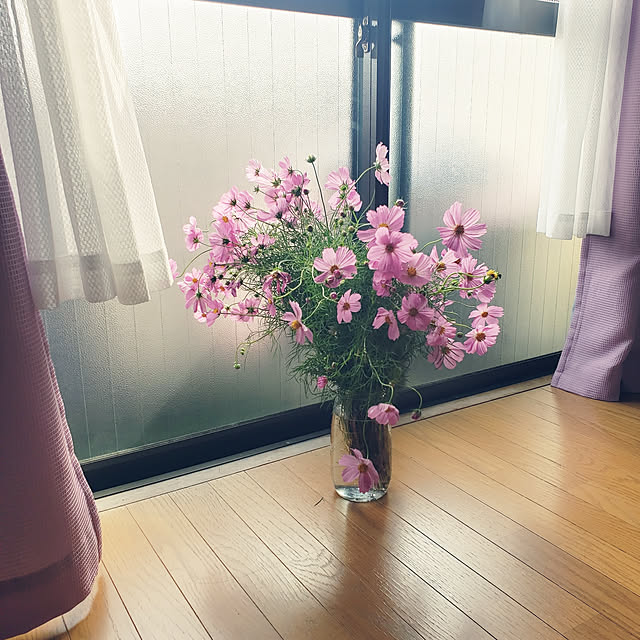 Abbyさんの実例写真