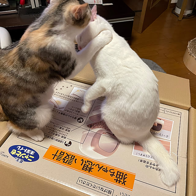 emi584さんの実例写真