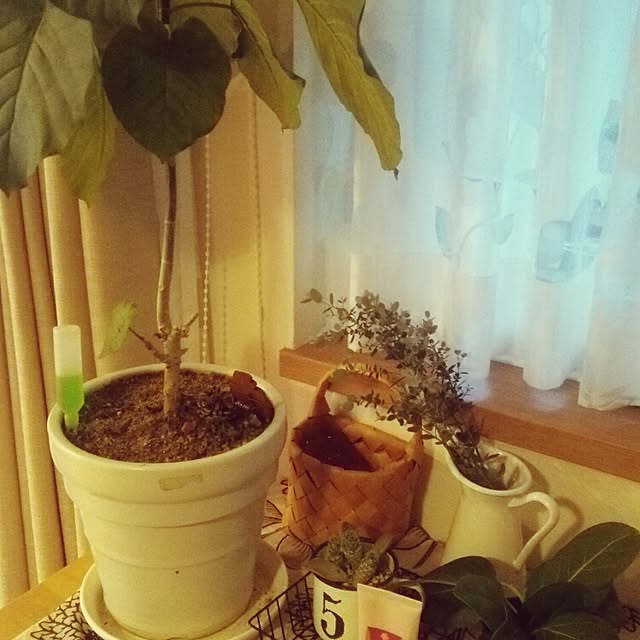 tomo.さんの実例写真