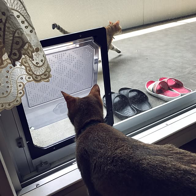 1633さんの実例写真