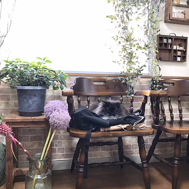 mucc08さんの実例写真