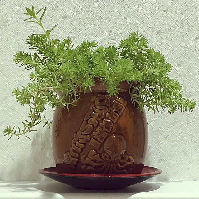 fuyiqian1026さんの実例写真