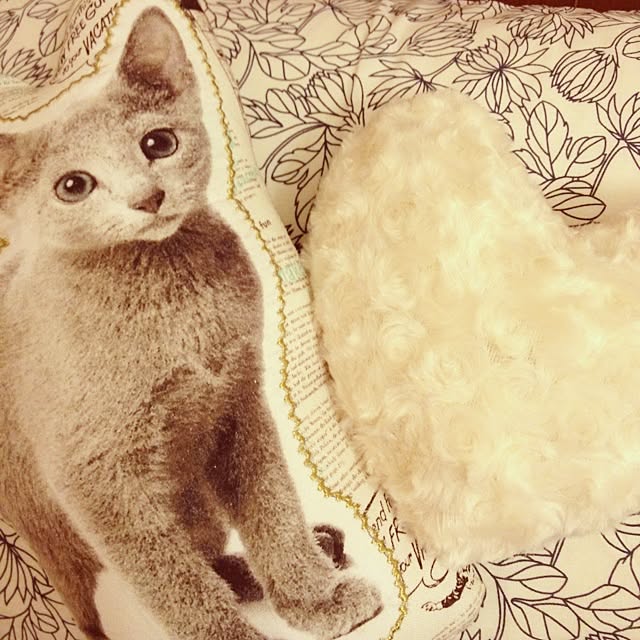 rokkiさんの実例写真