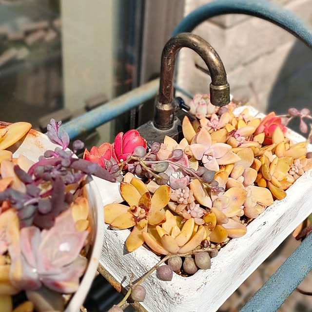 teamoさんの部屋