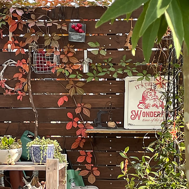 nobikoさんの部屋