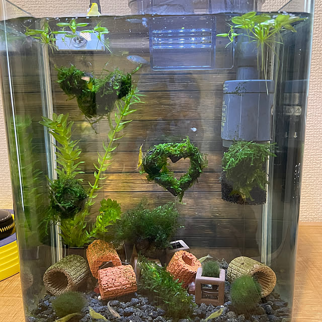 abap845さんの部屋