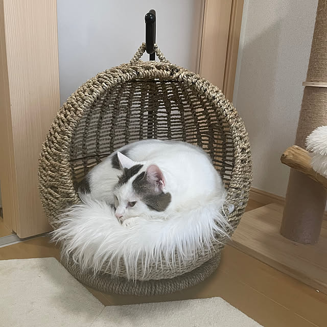 hirokumaさんの実例写真