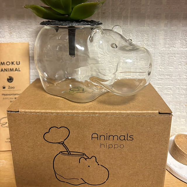 syutmmさんの部屋
