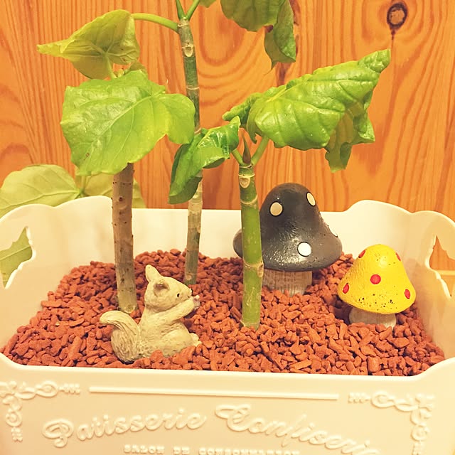 chiekkoさんの実例写真