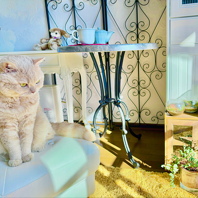 naokoさんの部屋