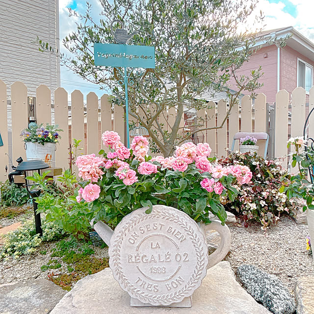 moolさんの実例写真