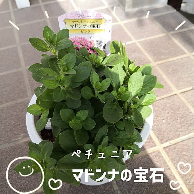 haruruさんの実例写真