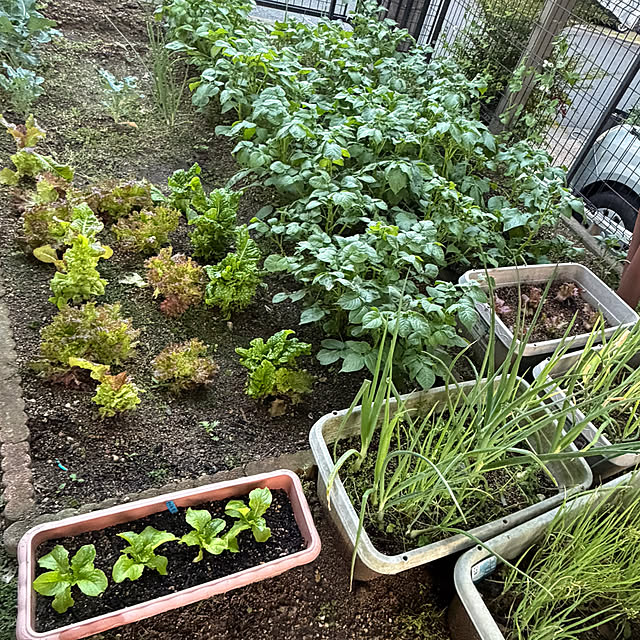 applepieさんの部屋