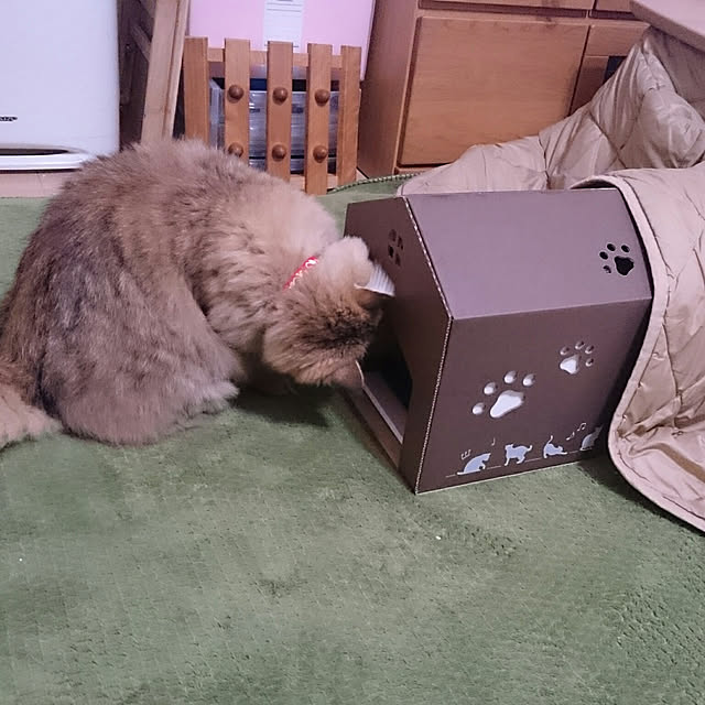 nanoさんの実例写真