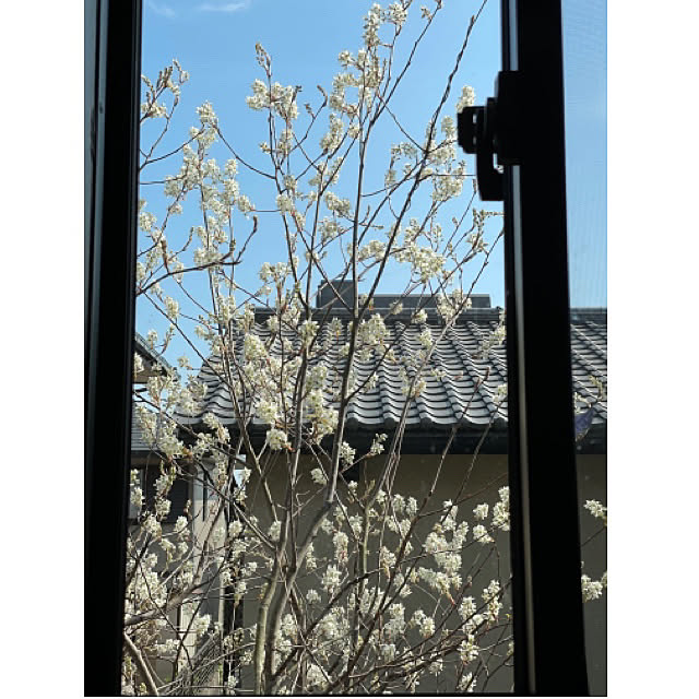 amiさんの実例写真