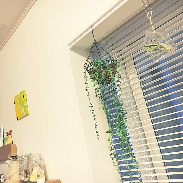 masamasaさんの実例写真