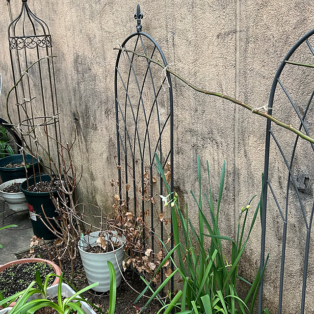 fumikoiさんの部屋