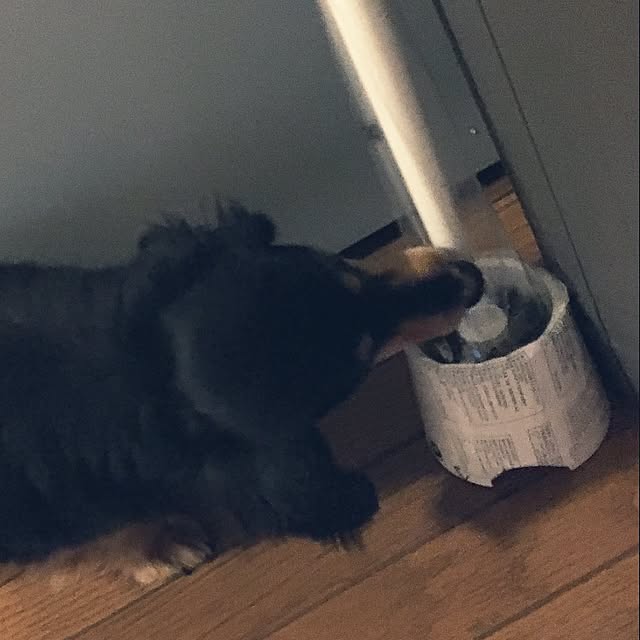 ohanaさんの実例写真