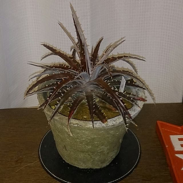 Hiroyukiさんの実例写真